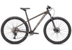 Specialized ROCKHOPPER ELITE 29 – SATIN DOPPIO / GLOSS SAND