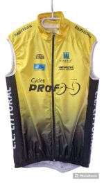 Tzamo PROF Gilet 'Rmpro' – Jaune