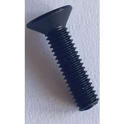 Fox 22 FLOATX/DHX M3x12mm Fastener(Pair)