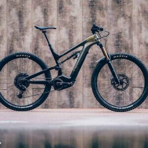 Aucune Cannondale Moterra 1 d'occasion taille M