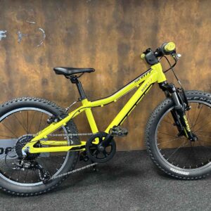 SCOTT scale 200 (ocas)