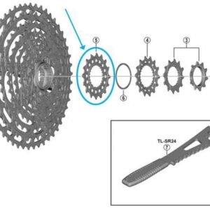 Shimano Pignon CS-M9100-12 16 dents